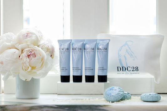 DDC28 Travel Kit