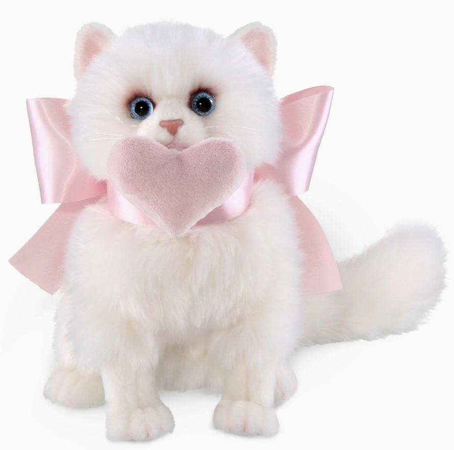 Pretty Kitty