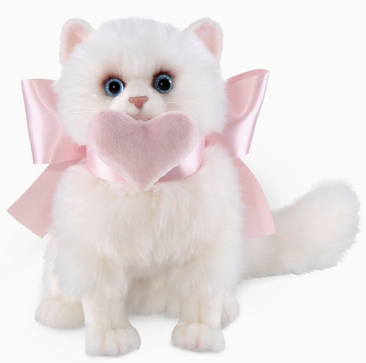 Pretty Kitty