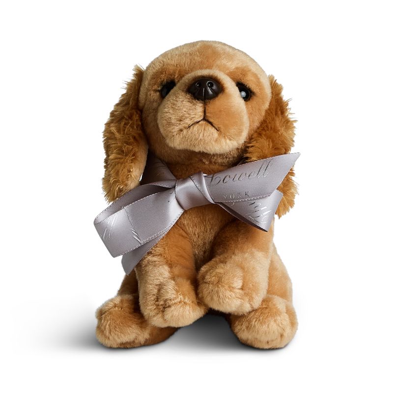 Tilly, The Lowell’s Cocker Spaniel Mascot